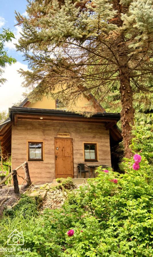 فيلا Oaza Tatry III زاكوباني المظهر الخارجي الصورة